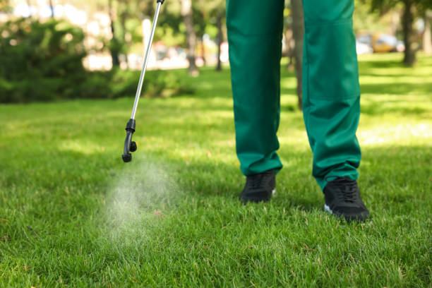 Trusted Six Shooter Canyon, AZ Pest Control Experts