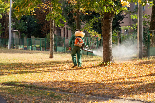 Best Bed Bug Extermination  in Six Shooter Canyon, AZ